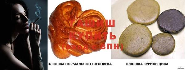 дмт Магас