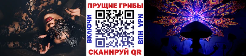 Псилоцибиновые грибы Psilocybe  Зерноград 