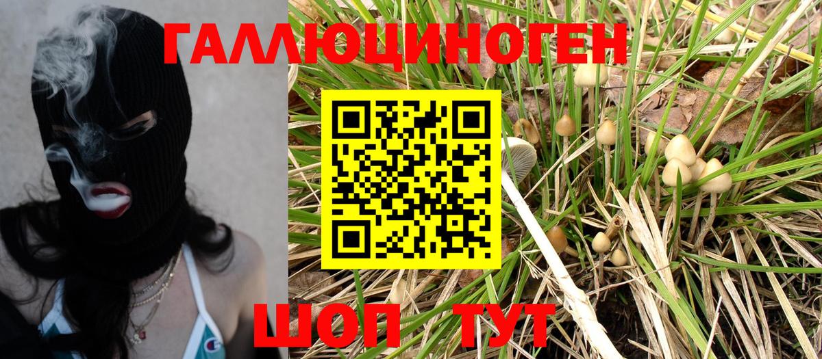 Псилоцибиновые грибы Cubensis Зерноград