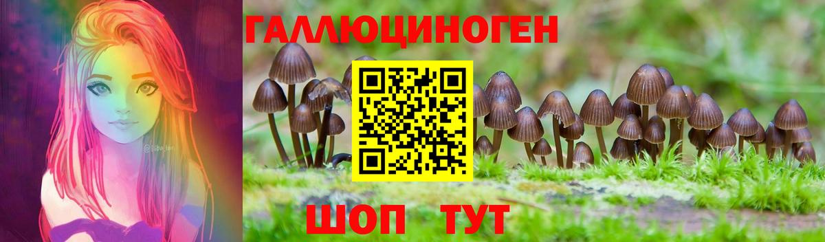 Псилоцибиновые грибы мицелий  наркота  Зерноград  Вход с VPN 