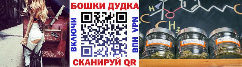 купить наркоту  Зерноград  ОМГ ОМГ как войти  Шишки марихуана MAZAR 